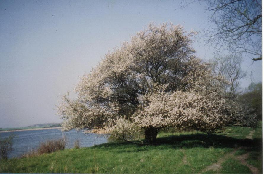 Sundhagen-Niederhof Gaestehaus Niederhof מראה חיצוני תמונה
